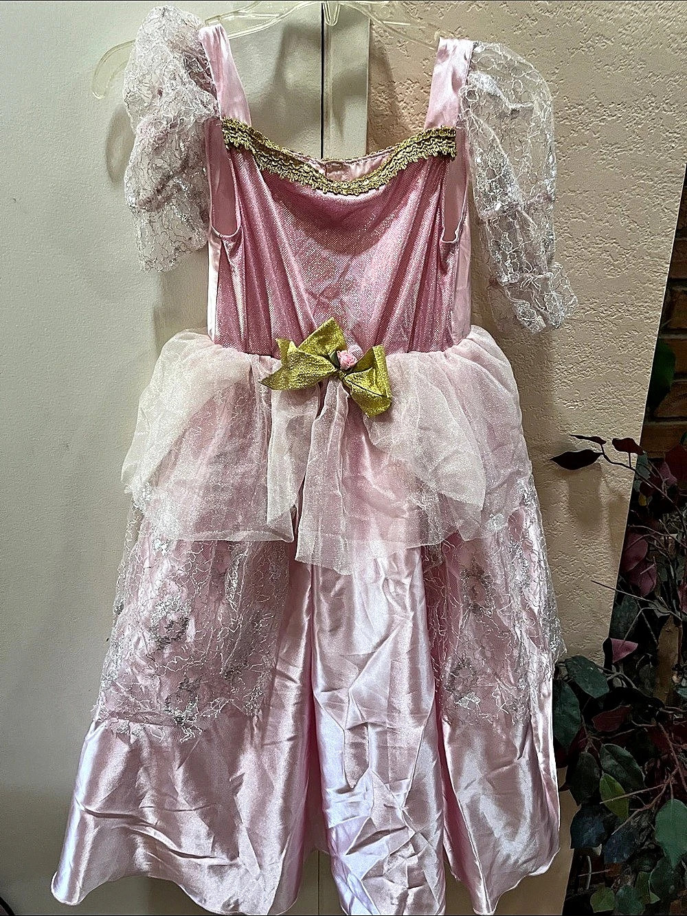 Pink Princess Theater Costume Dress